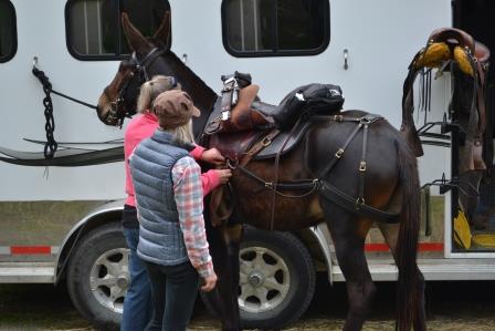  checking Isme the mule's rigging